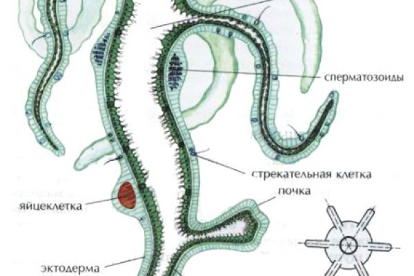 Кракен шоп интернет нарко