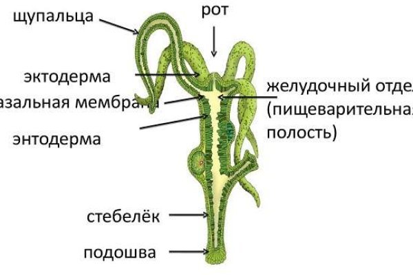 Кракен ссылка на тор официальная