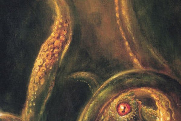 Kraken cc